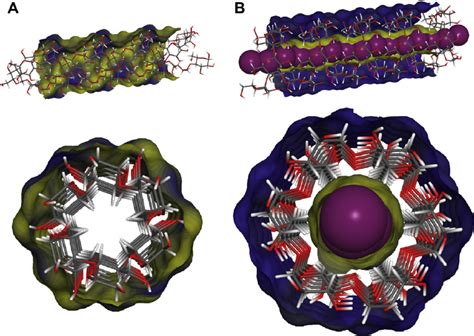 Helical structures of amylose. A: A-amylose (shown) and B-amylose (not ...