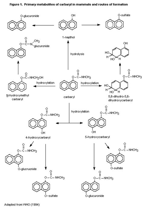 912. Carbaryl (Pesticide residues in food: 1996 evaluations Part II ...