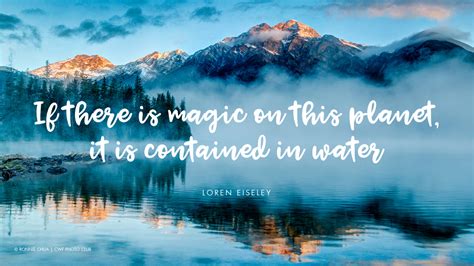 Eight quotes that illustrate why water is life – Your Connection to Wildlife