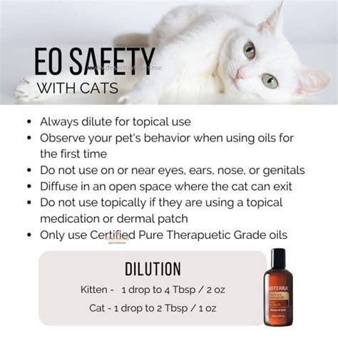 Essential Oils Safe For Cats - Desert Naturals - doTERRA Essential Oils and Holisitc Health and ...