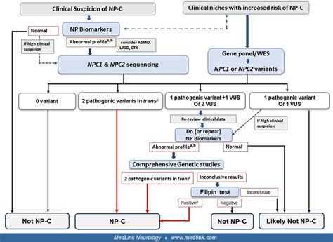 Niemann-Pick disease type C | MedLink Neurology