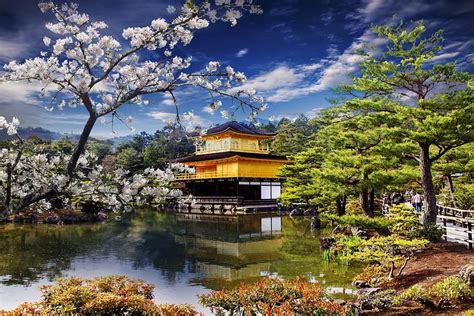 Redirect Notice | Japan temple, Explore japan, Places around the world