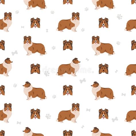 Sheltie, Shetland Sheepdog Seamless Pattern. Different Poses, Coat Colors Set Stock Vector ...