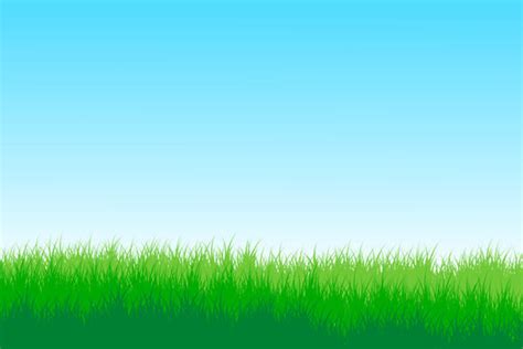 Green Grass Background Hd