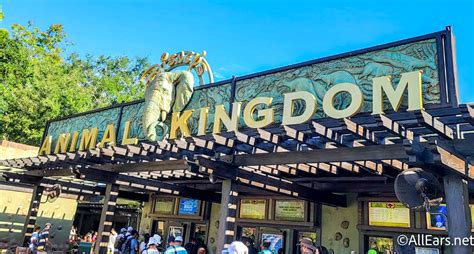 Disney's Animal Kingdom Has a NEW Park Map - See the Changes Here ...