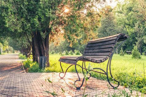 Park Bench at Sunset stock image. Image of dotage, autumnal - 168821711