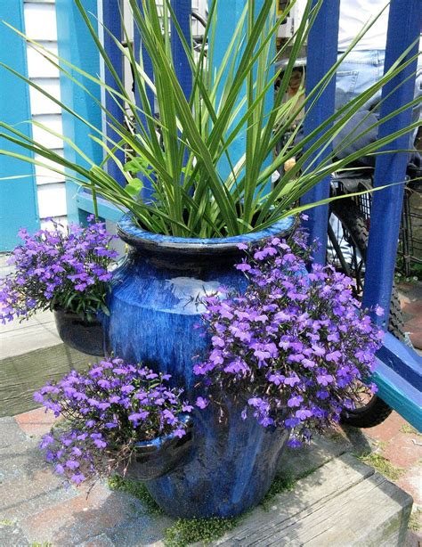 Pin by Joan Wilson on Gardening Bliss | Garden pots, Container gardening, Garden containers