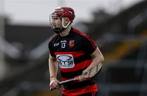 Waterford and Ballygunner’s new star Fitzgerald hailed as 'Dessie ...