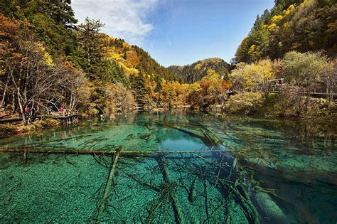 Lacs de la vallée de Jiuzhaigou, Sichuan, Chine | Parcs nationaux, Beaux endroits, Lieux de vacances