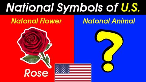 10 National Symbols of United States ️ - YouTube