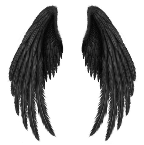 Angel Wings Png, Angel Wings Drawing, Demon Wings, Raven Wings, Black Angel Wings, Angel Wings ...