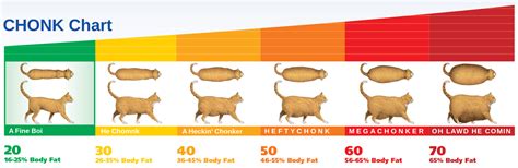 The CHONK chart for cats is the defining tool of a cats CHONK level.