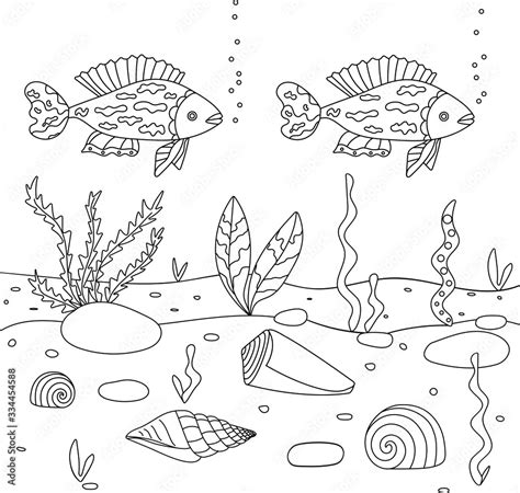 Vector illustration with algae, shell and fish, sea floor. Cute square page coloring book for ...