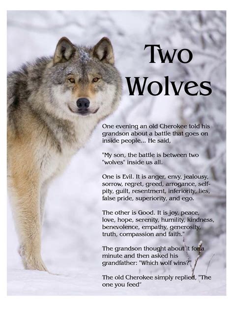 Image result for two wolves fighting inside us | Two wolves, Wolf quotes, The one you feed