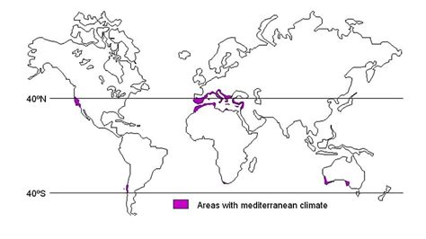 What is a mediterranean climate?