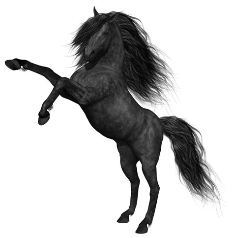 Albums 91+ Wallpaper Black Horse With White Mane And Tail For Sale Stunning