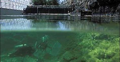 Algae Use Physics Trick in Photosynthesis - CBS News