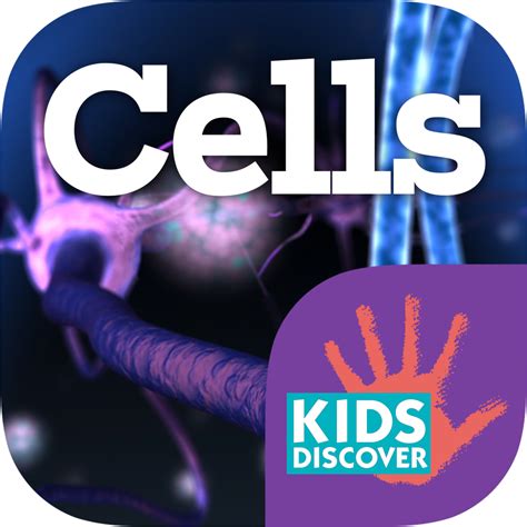 What's in Blood? A Look at Types of Blood Cells - Kids Discover