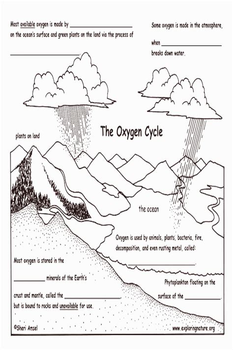 Water Cycle Worksheet Middle School