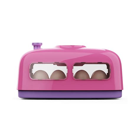 China Egg Incubator for Hatching Chicks, 8 Eggs Children Poultry Hatcher, with Humidity ...