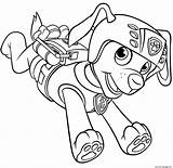 Zuma Paw Patrol Coloring Page sketch template