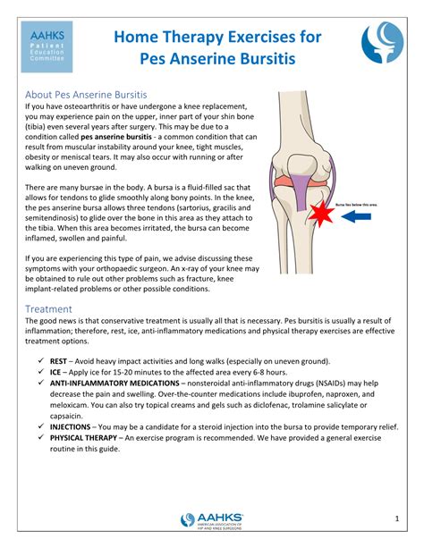 Pes Anserine Bursitis in the Knee - DocsLib