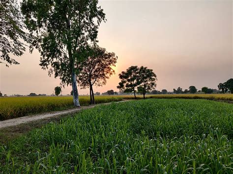 Punjab, country, fall, fall scenes, scenes, HD wallpaper | Peakpx