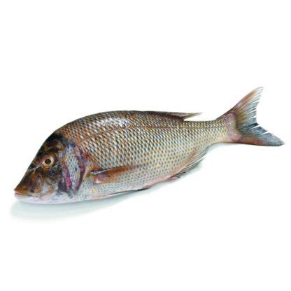 Poisson Capitaine (1kg) disponible à Kinshasa - Yeto