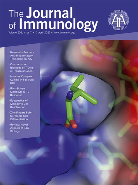 Preclinical Efficacy and Anti-Inflammatory Mechanisms of Action of the Bruton Tyrosine Kinase ...