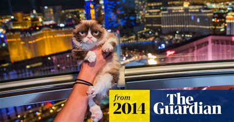 Grumpy Cat's new grumpy book - in pictures | World news | The Guardian