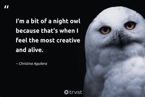 43 Owl Quotes, Captions, and Sayings to Make You Wiser