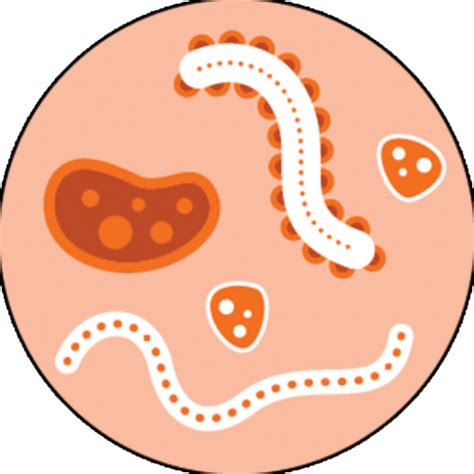 Syphilis: Signs and Symptoms