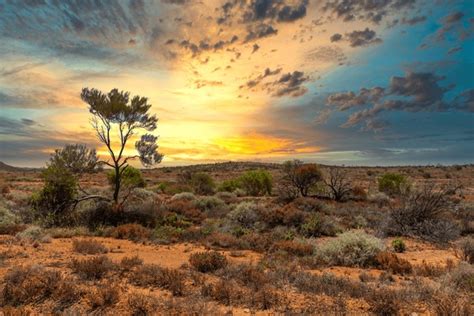 24,242 Colours Of The Outback Royalty-Free Photos and Stock Images | Shutterstock