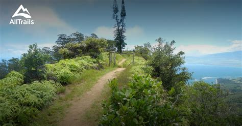 Best Trails in West Maui Forest Reserve - Maui, Hawaii | AllTrails