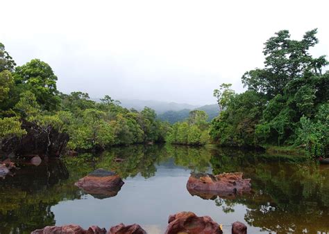 Masoala National Park, Madagascar | Tailor-made Vacations | Audley ...