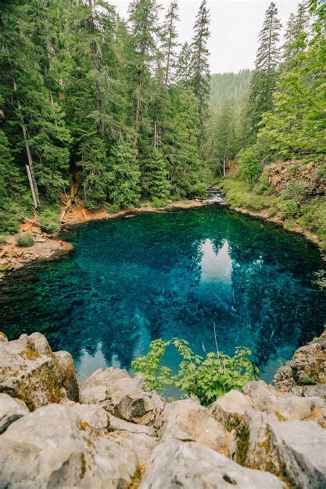 Local's Guide to the Famous BLUE POOL in Oregon (Tamolitch Blue Pool)