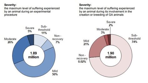 Animal Testing Statistics