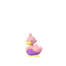 Ducklett (Pokémon GO) - Best Movesets, Counters, Evolutions and CP