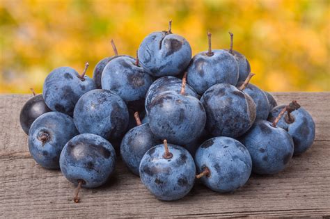 Heap of blackthorn berries on a containing fruit, wooden, and ...