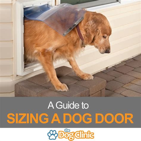 What Size Dog Door Do I Need? (Including Sizing Chart)