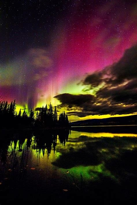 Northern Lights in Whitehorse, Yukon