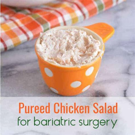 Pureed Recipes For Bariatric Surgery | Bryont Blog