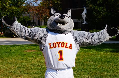 Loyola (Chicago) Ramblers mascot, LU Wolf | Missouri valley, Beautiful ...