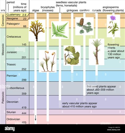 Geologic Time Scale Chart