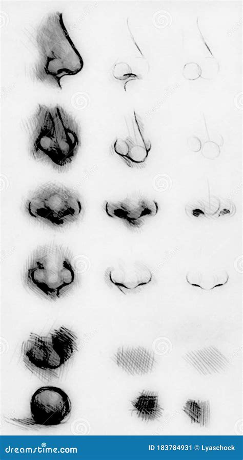 Tutorial Drawing a Human Nose. Drawing Nose on Paper Stock Illustration ...