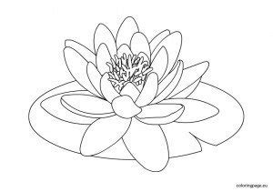 Water lily | Coloring Page