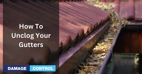 Clogged Gutters: Causes and Prevention Techniques