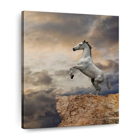 Rearing Horse Wall Art | Photography