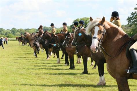 Showing advice for beginners from the experts at Horse & Hound