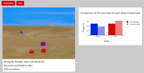 Genetic Drift Examples